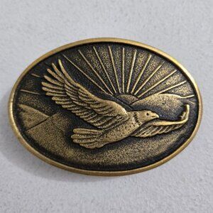 BTS USA Vintage 1970s Solid Brass Belt Buckle Eagle Mountains Sun Oval Western